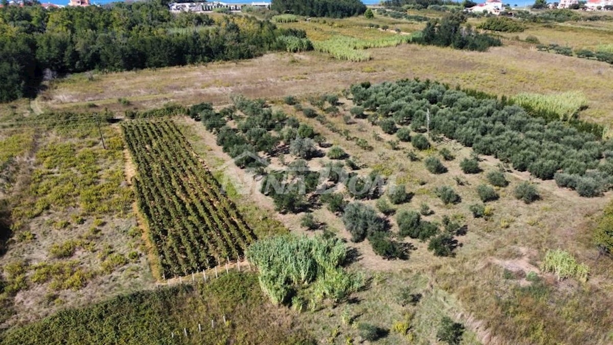 Land For sale - ZADARSKA PRIVLAKA