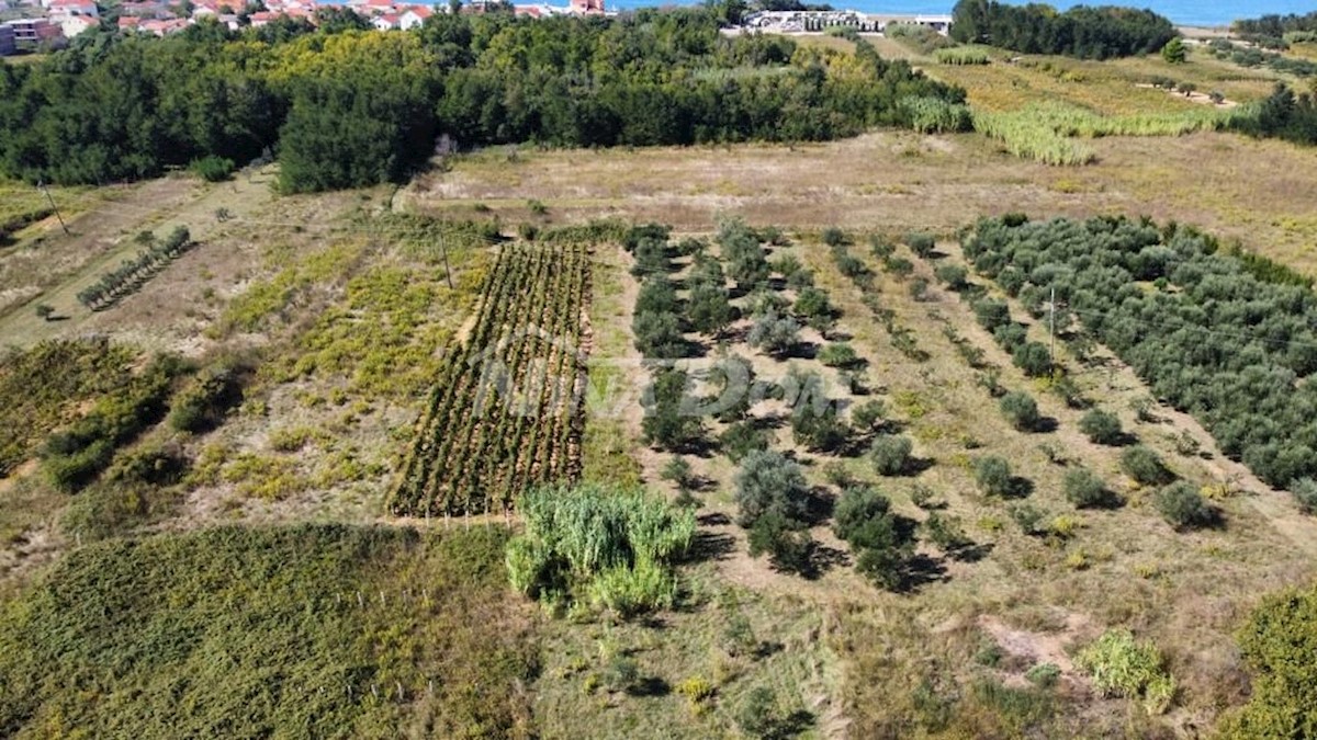 Land For sale - ZADARSKA PRIVLAKA