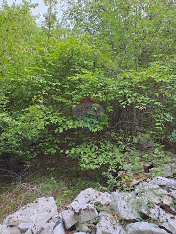 Grundstück Zu verkaufen - Istarska Kanfanar - foto 5/5
