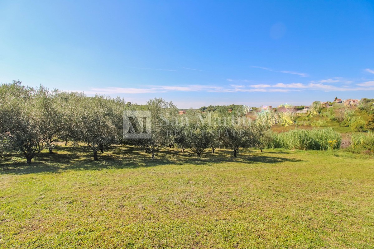 Terreno In vendita - Istarska Poreč - foto 5/8