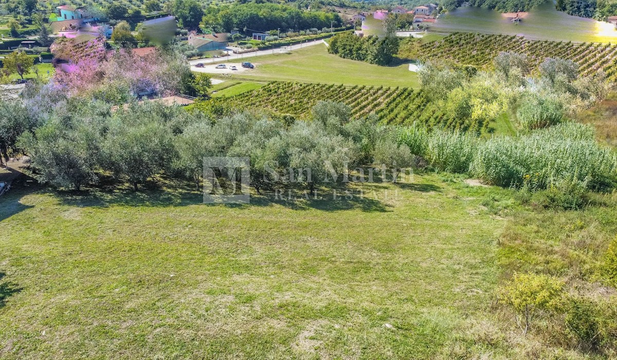 Terrain À vendre - Istarska Poreč - foto 4/6