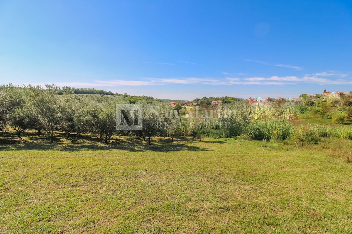 Terrain À vendre - ISTARSKA POREČ