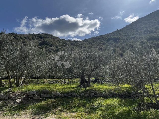 Terrain À vendre TRPANJ