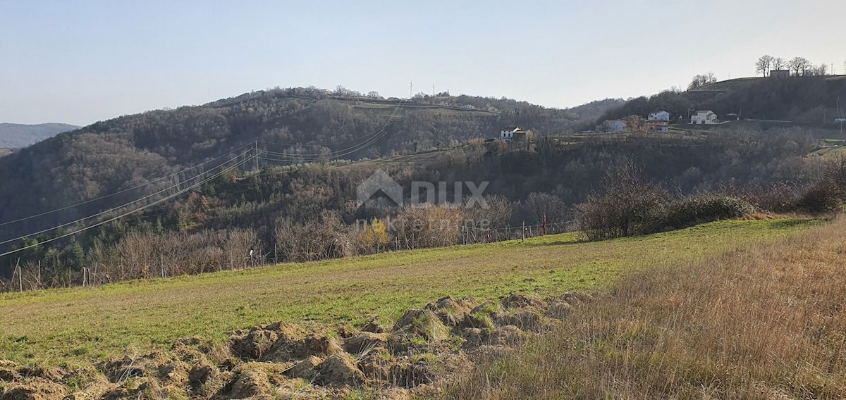 Land For sale - ISTARSKA PAZIN