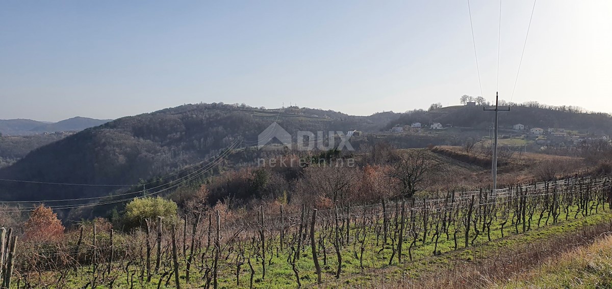 Land For sale - ISTARSKA PAZIN