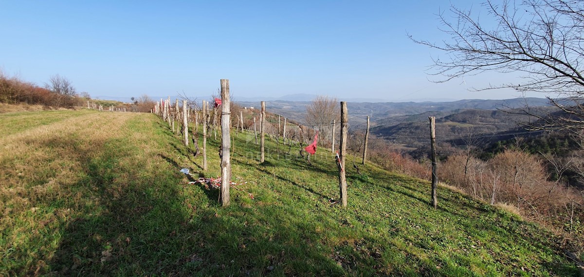 Pozemok Na predaj - ISTARSKA PAZIN