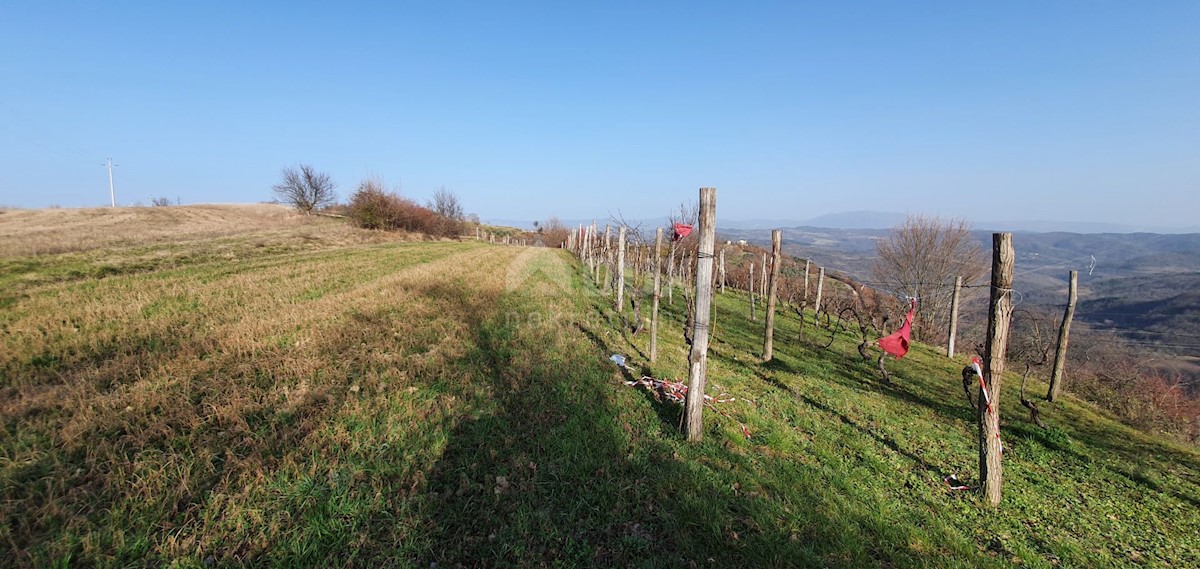 Land For sale - ISTARSKA PAZIN