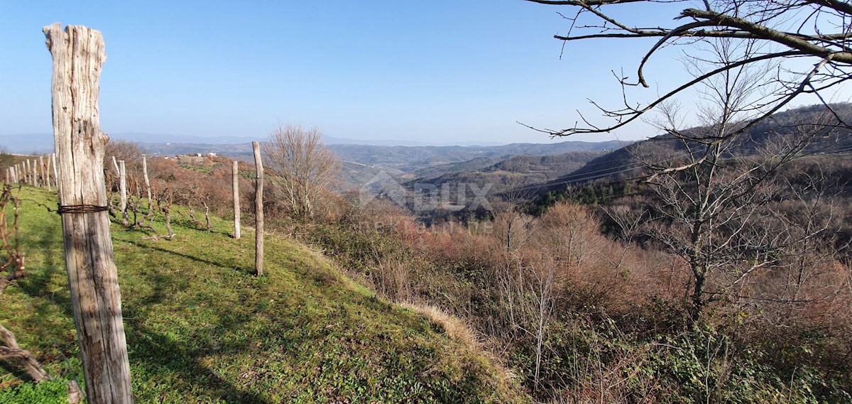 Land For sale - ISTARSKA PAZIN