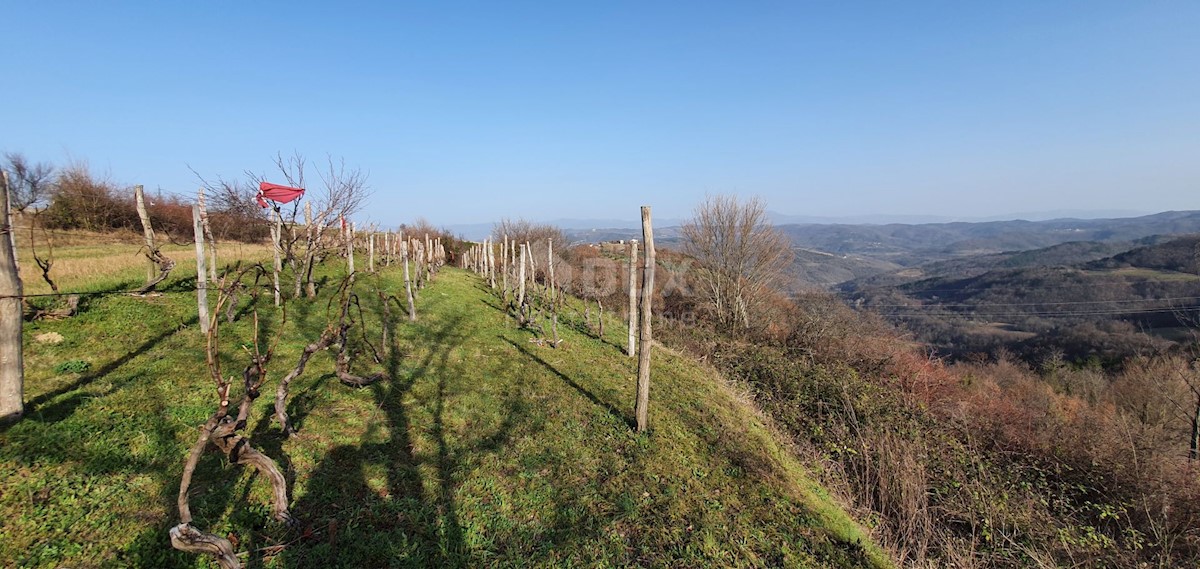 Działka Na sprzedaż - ISTARSKA PAZIN