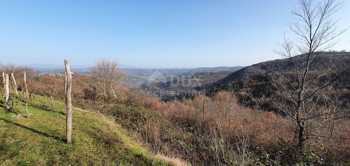 Land For sale - ISTARSKA PAZIN