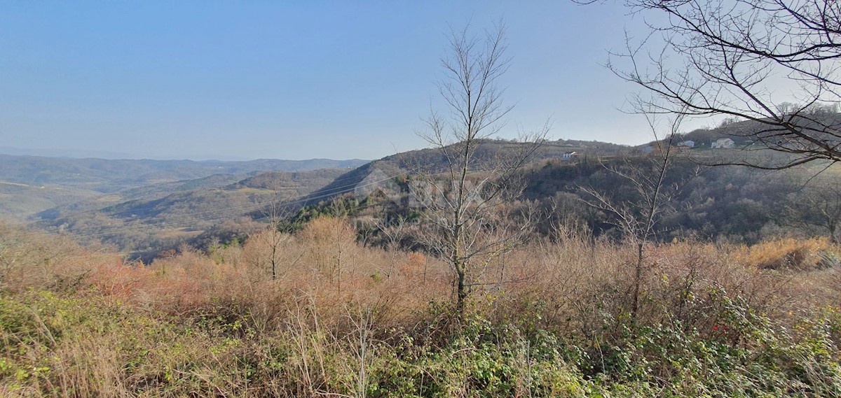 Land For sale - ISTARSKA PAZIN