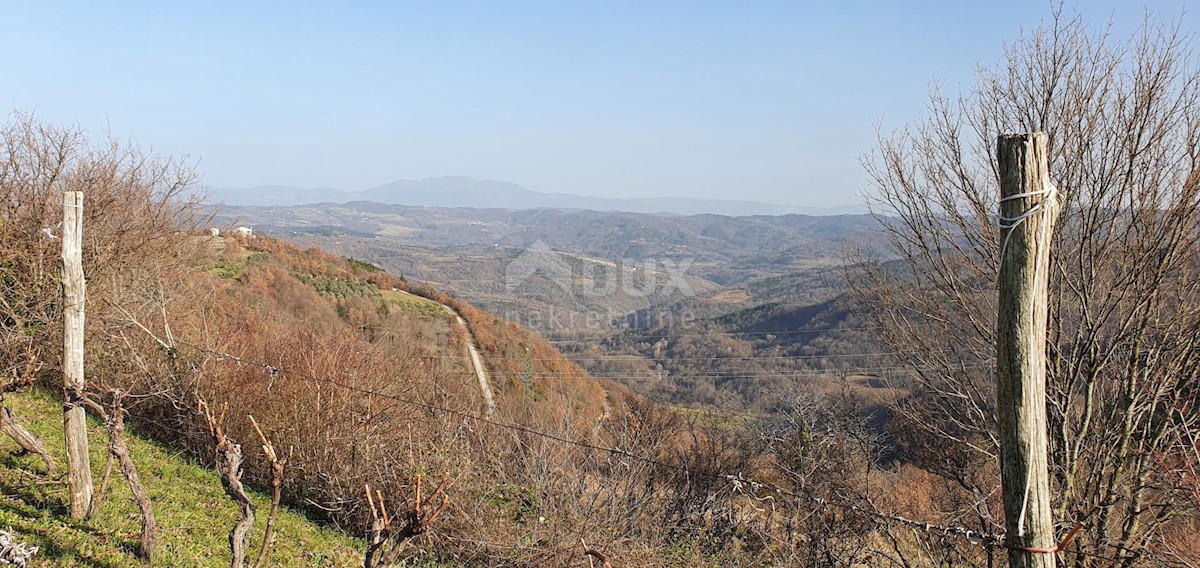 Land For sale - ISTARSKA PAZIN