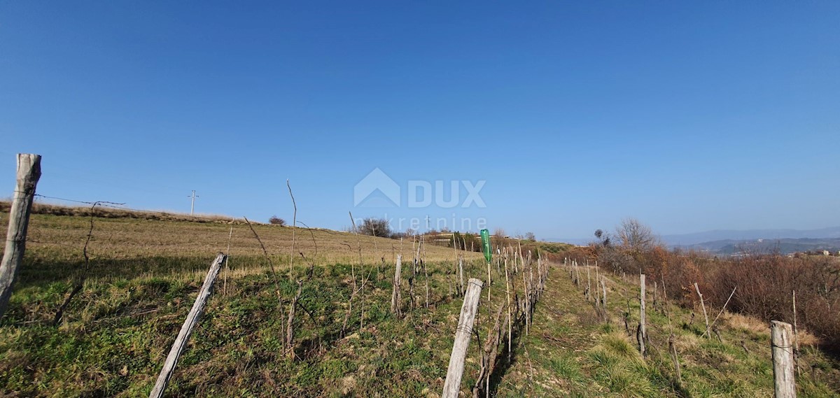 Land For sale - ISTARSKA PAZIN