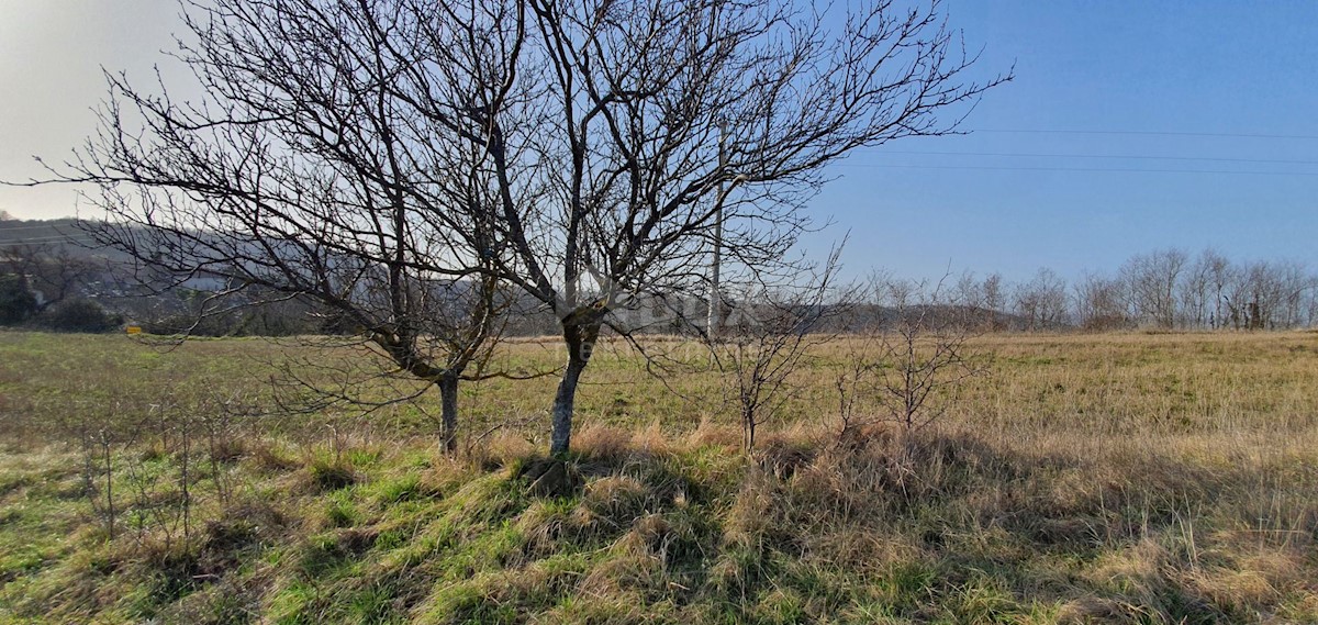 Pozemek Na prodej - ISTARSKA PAZIN