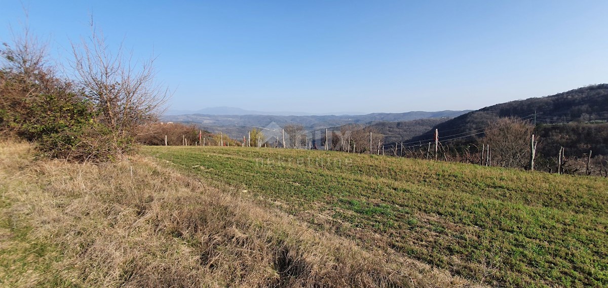 Land For sale - ISTARSKA PAZIN