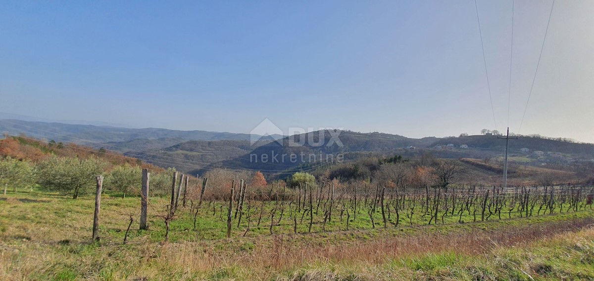 Land For sale - ISTARSKA PAZIN