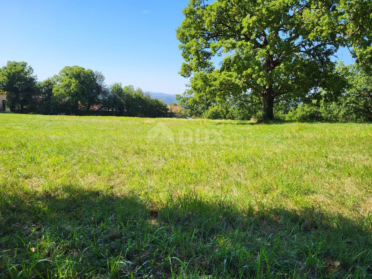 Land For sale - ISTARSKA BUZET