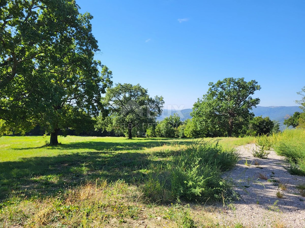 Land For sale - ISTARSKA BUZET