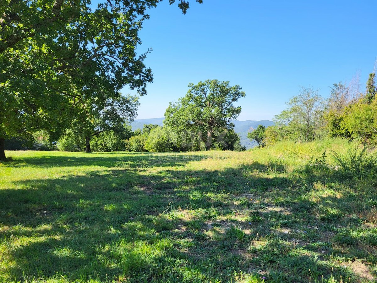 Land For sale - ISTARSKA BUZET