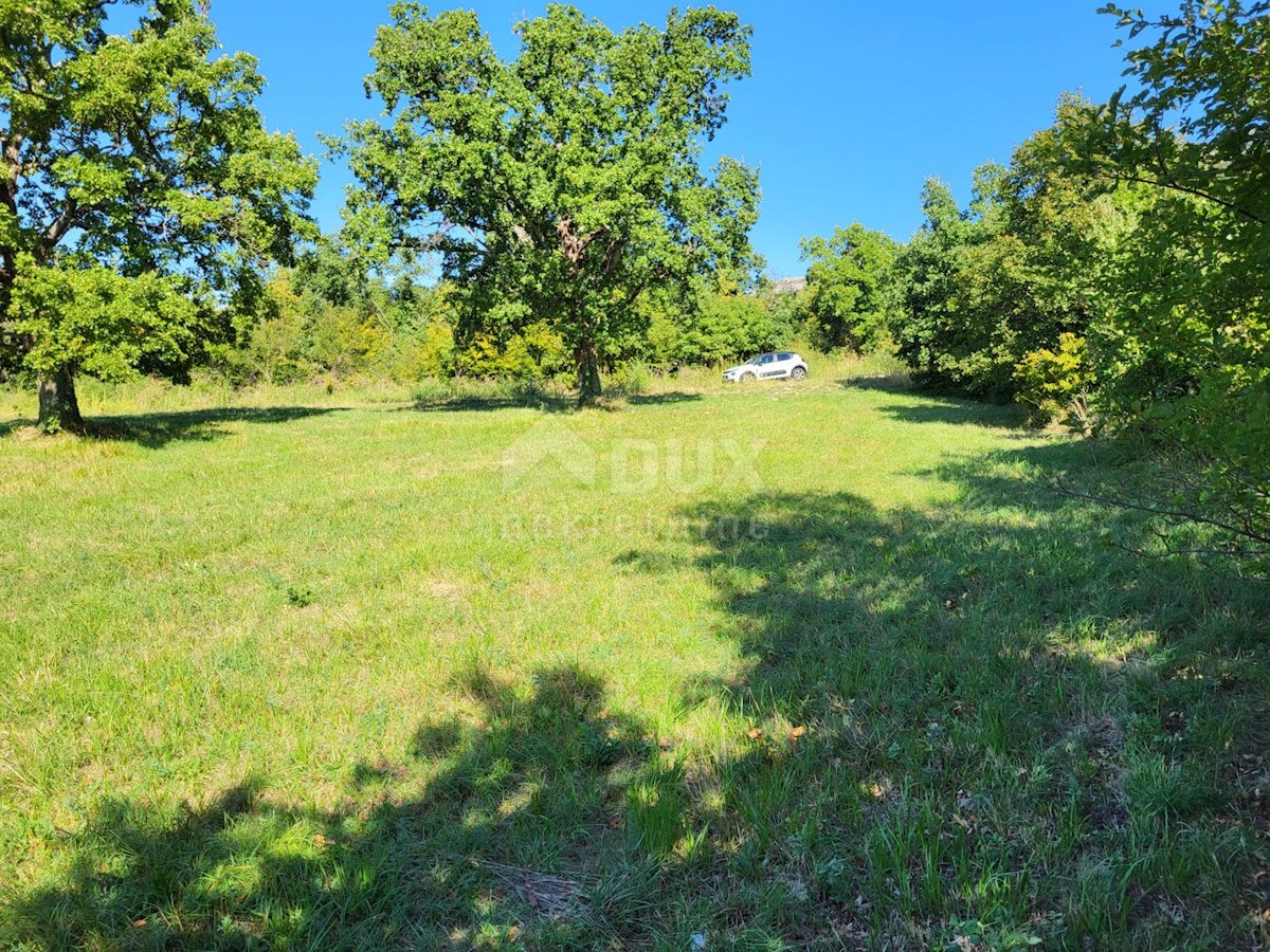 Land For sale - ISTARSKA BUZET