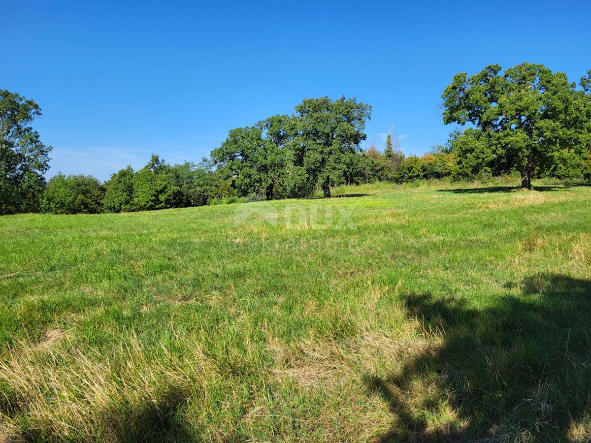 Land For sale - ISTARSKA BUZET