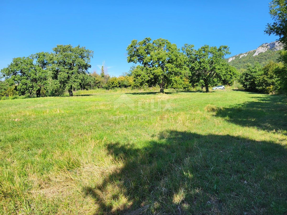 Land For sale - ISTARSKA BUZET