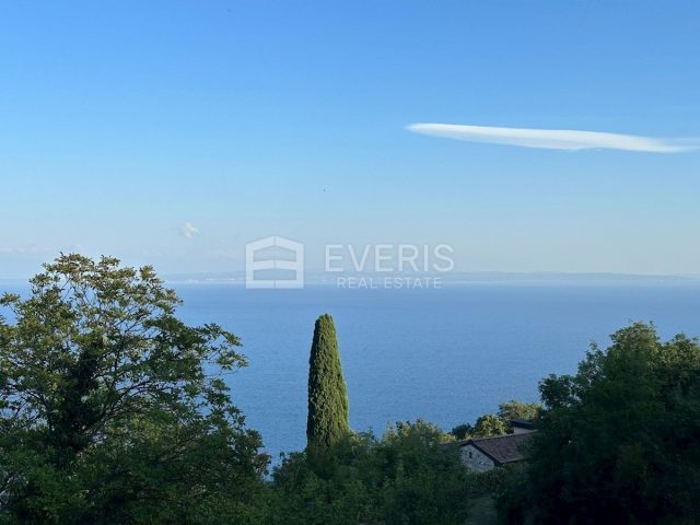 Terrain à vendre 994 m² – Tuliševica