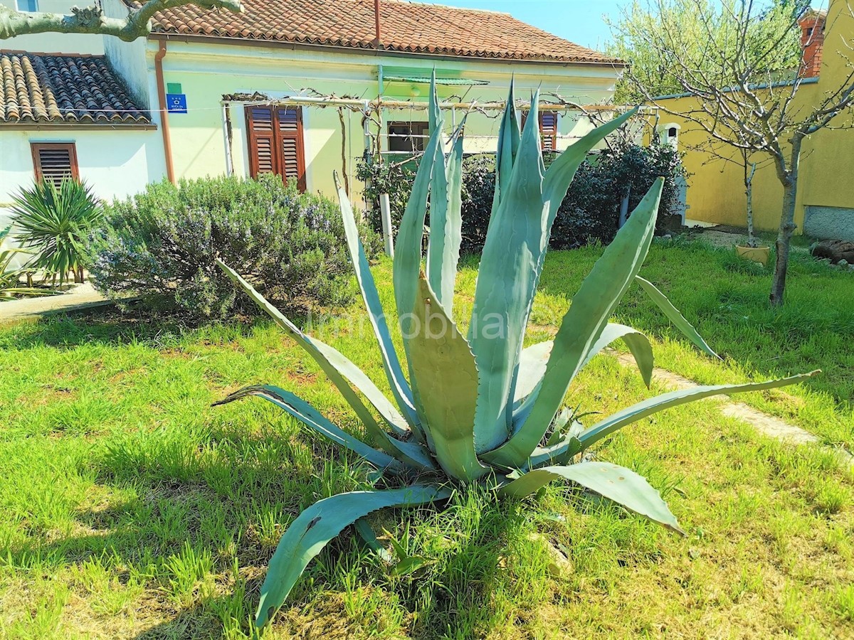 Casa In vendita PULA