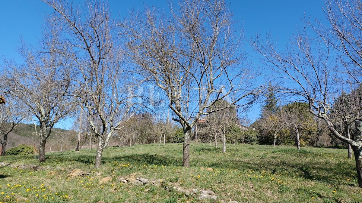 Land For sale - ISTARSKA CEROVLJE