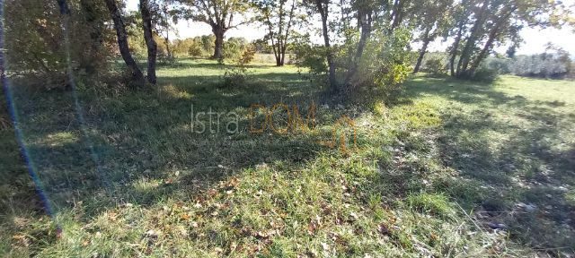 Pozemek na prodej 964 m² – Šajini