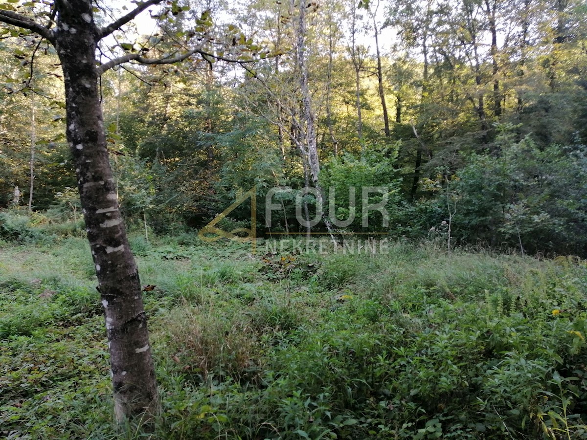 Land For sale - PRIMORSKO-GORANSKA ČAVLE