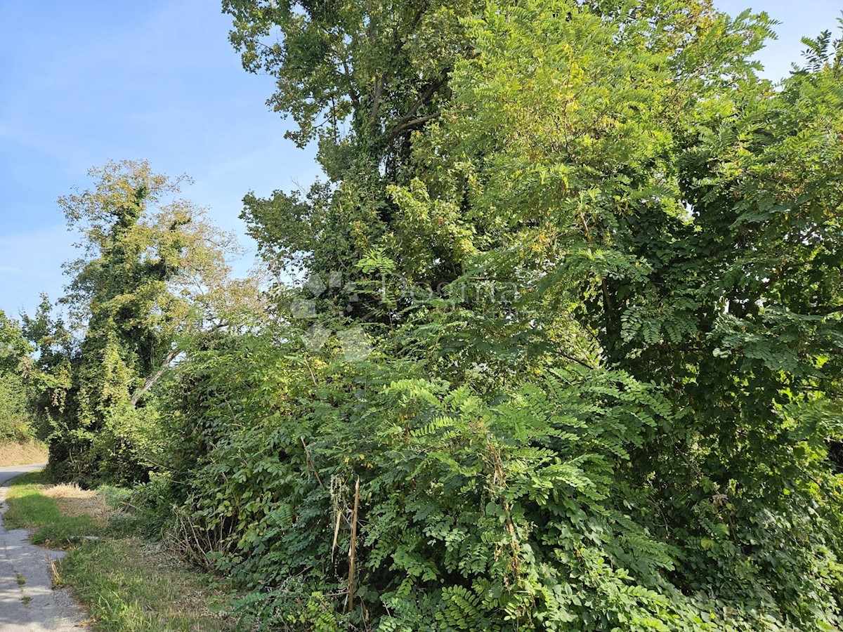 Terreno In vendita - VARAŽDINSKA CESTICA