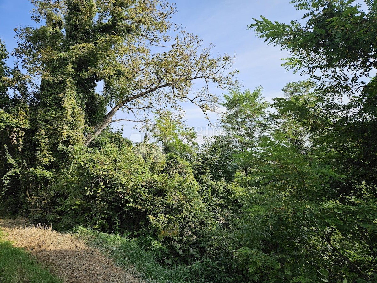 Terreno In vendita - VARAŽDINSKA CESTICA