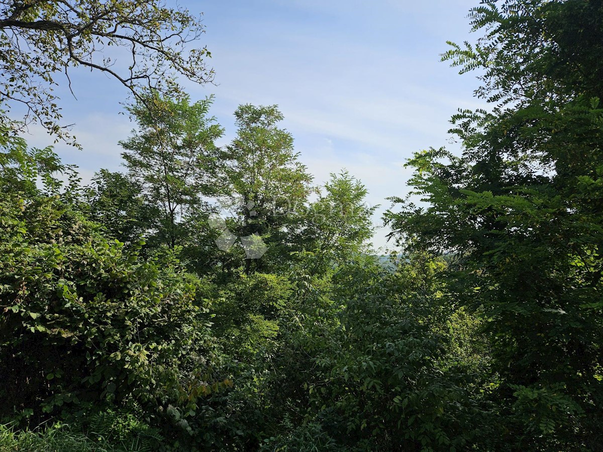 Terreno In vendita - VARAŽDINSKA CESTICA