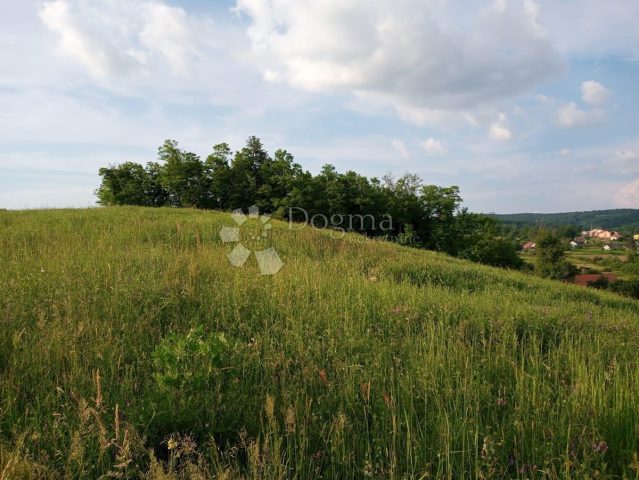 Pozemek na prodej 12033 m² – Nova Ljeskovica