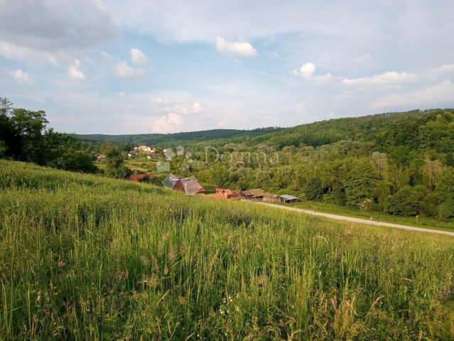 Parcela Naprodaj - Požeško-slavonska čaglin - foto 4/4