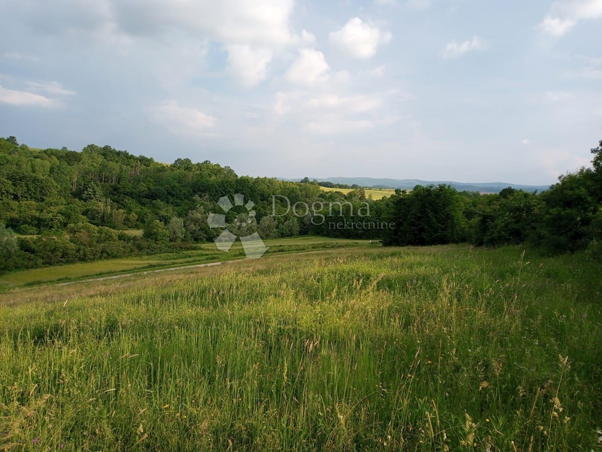 Pozemok Na predaj - POŽEŠKO-SLAVONSKA ČAGLIN