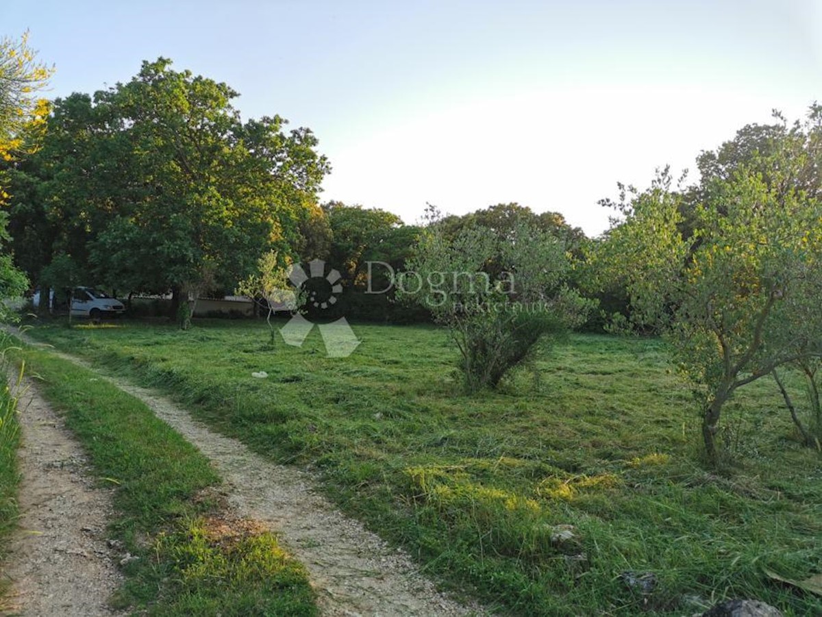 Land For sale - ISTARSKA LIŽNJAN