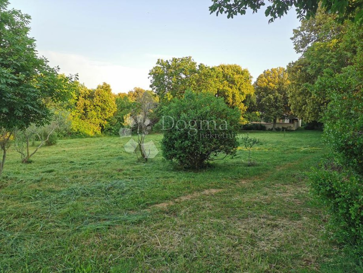 Land For sale - ISTARSKA LIŽNJAN