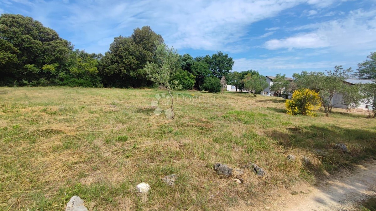 Land For sale - ISTARSKA LIŽNJAN