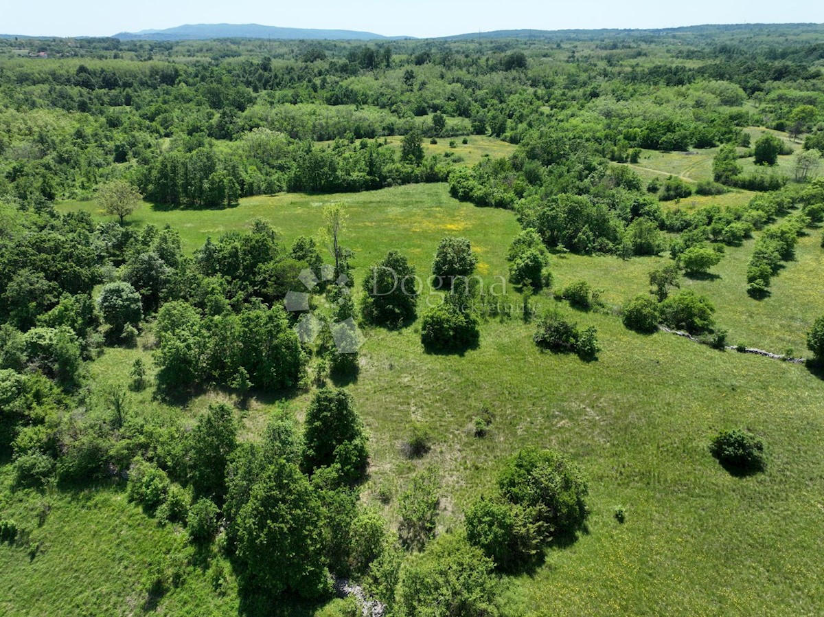 Terrain À vendre - ISTARSKA SVETA NEDELJA