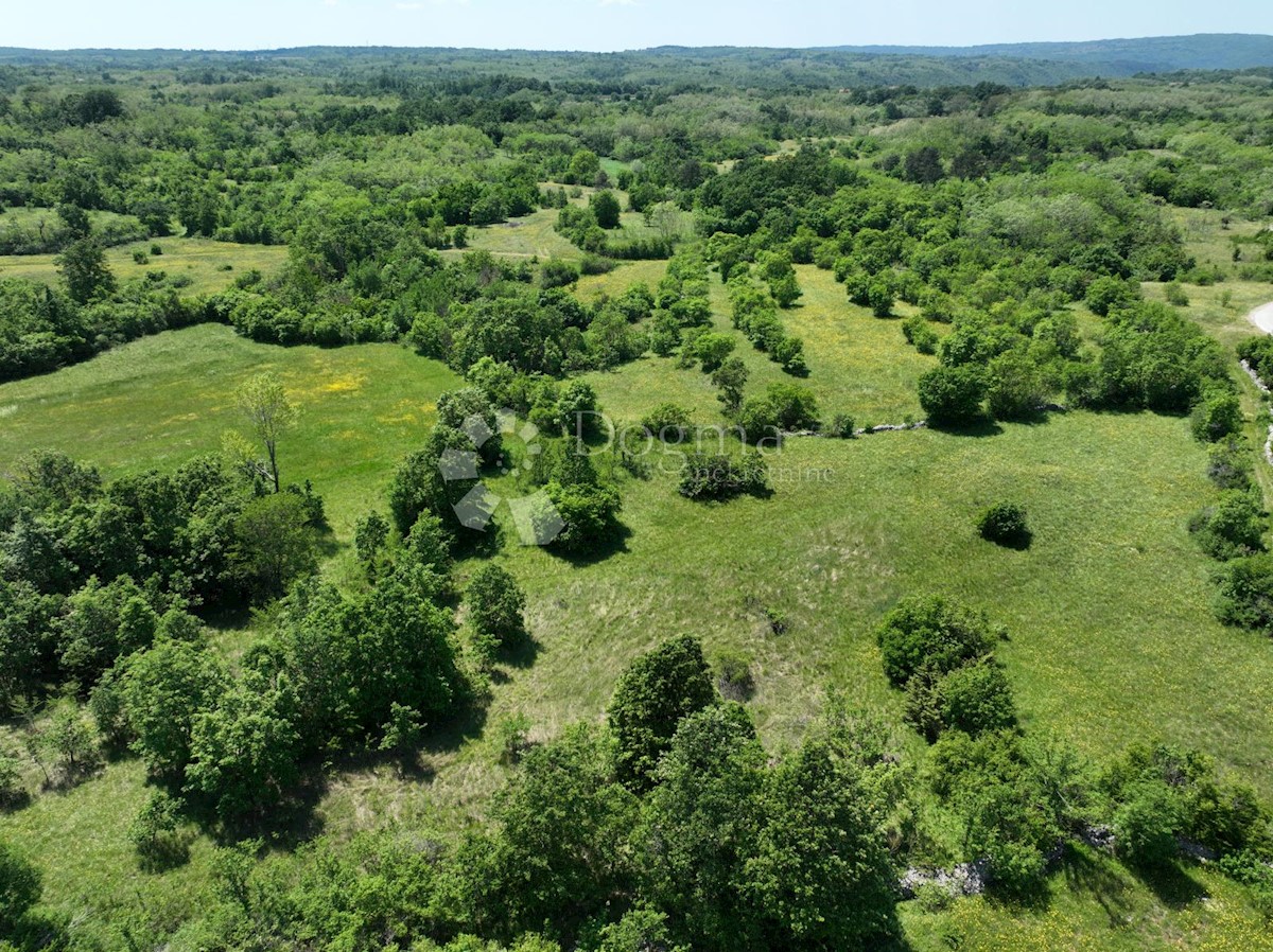 Terrain À vendre - ISTARSKA SVETA NEDELJA