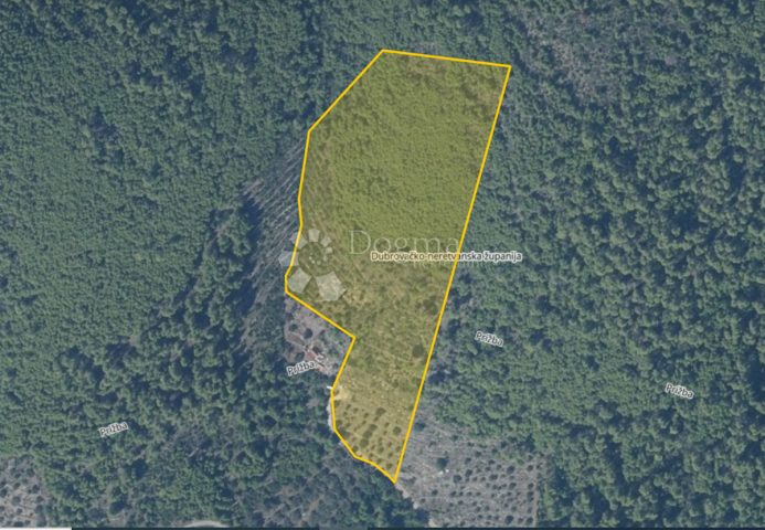 Land for sale 31700 m² – Prižba