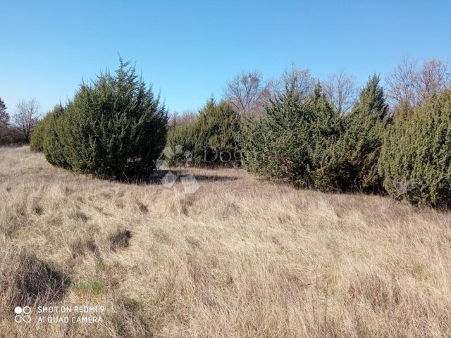 Pozemek na prodej 6699 m² – Mrgani
