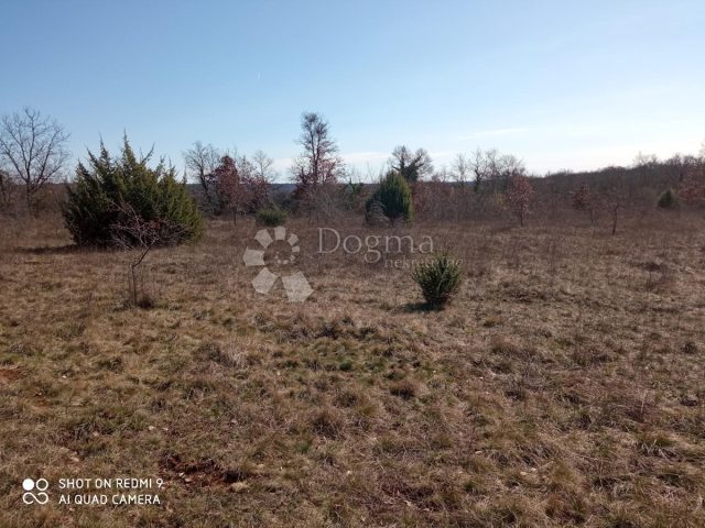 Terreno In vendita - Istarska Kanfanar - foto 2/2