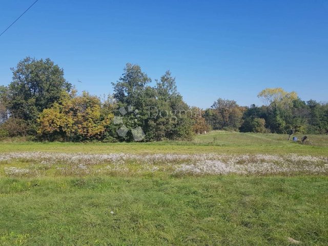 Grundstück zu verkaufen 8000 m² – Nedešćina