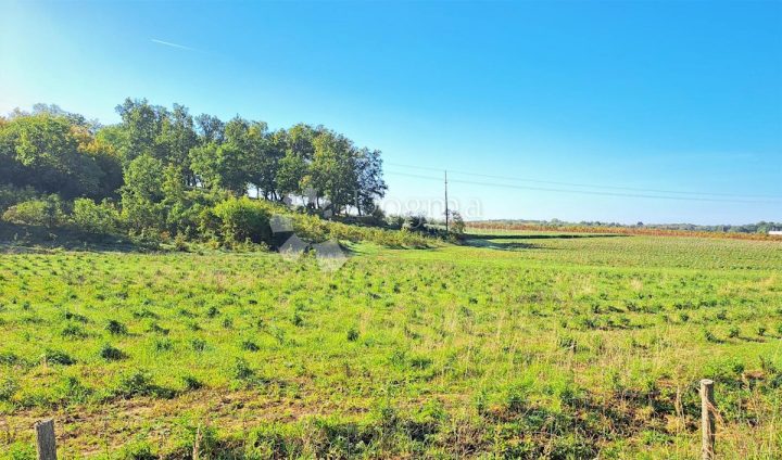 Parcela na predaj 31465 m² – Mugeba