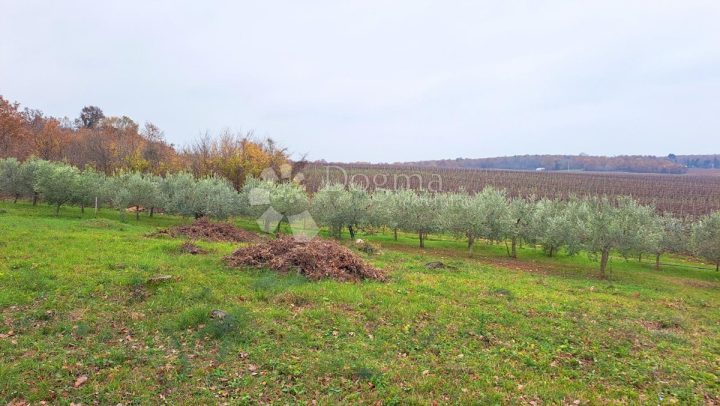 Parcela Naprodaj - Istarska Poreč - foto 4/15