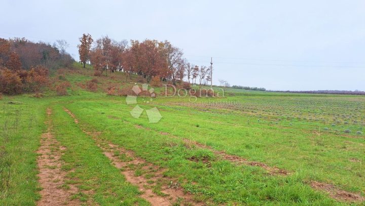Parcela Naprodaj - Istarska Poreč - foto 5/15