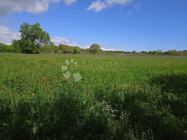 Terrain à vendre 3508 m² – Muntić
